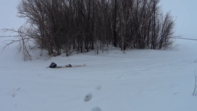 Охота на зайца 07.02.2016 №9 смотреть онлайн
