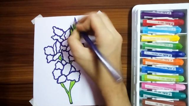 How To Draw Gladiolus Purple Oil Pastel Easy Art For The Beginner's Step by Step 💐 смотреть онлайн