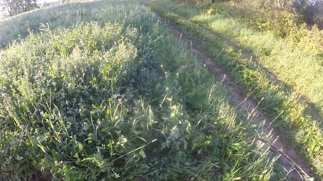 Коса-литовка/айфоном здесь не пахло смотреть онлайн