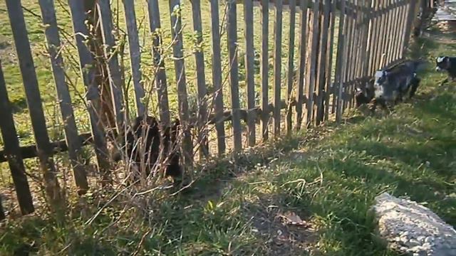 Детский сад "Ромашка" смотреть онлайн
