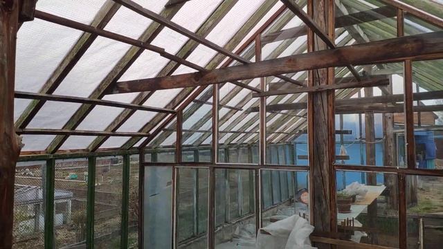 Деревянная теплица долгожитель которой почти 30 лет смотреть онлайн