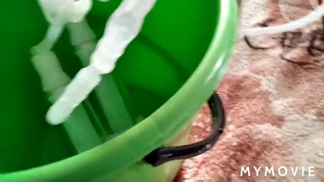 Доильный аппарат для коз на 5 литров смотреть онлайн
