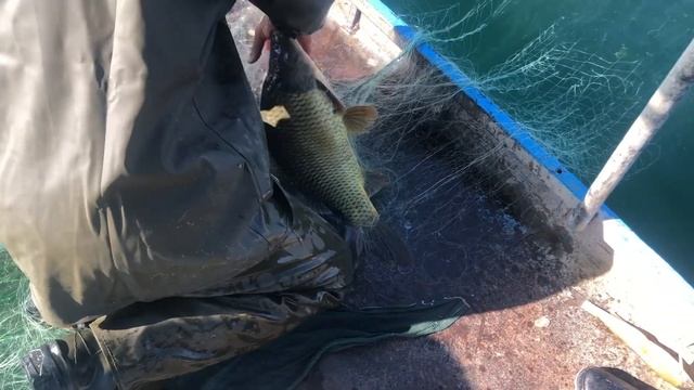 Турция. Элязыг. Рыбалка в Турции . Как мы рыбачим в Турции, что ловим? смотреть онлайн