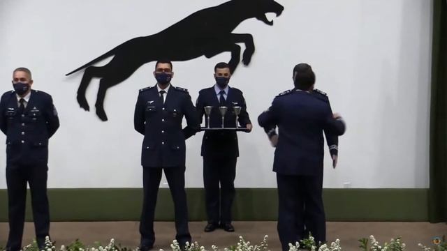 XLV BRÓDIO DOS JAGUARES смотреть онлайн