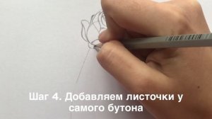 КАК НАРИСОВАТЬ РОЗУ ПРОСТЫМ КАРАНДАШОМ ✏️ 6 ПРОСТЫХ ШАГОВ
