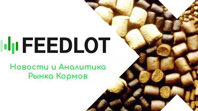 Самая ожидаемая информация о ценах в августе 2023 года! #аналитика #кормовыедобавки#витамины смотреть онлайн