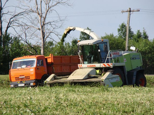 Silage, CLAAS Jaguar 830 /// Заготовка сенажа, CLAAS Jaguar 830