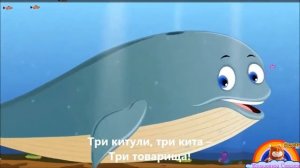 Три кита.  Караоке