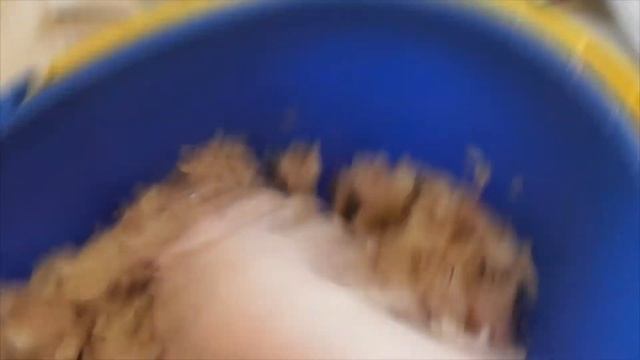 VLOG/Разбираюсь с уловом и дичью/Как отделить икру от пленки смотреть онлайн