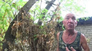 ЖИВУ В ЛЕСУ ОДИН В ШАЛАШЕ Часть 2