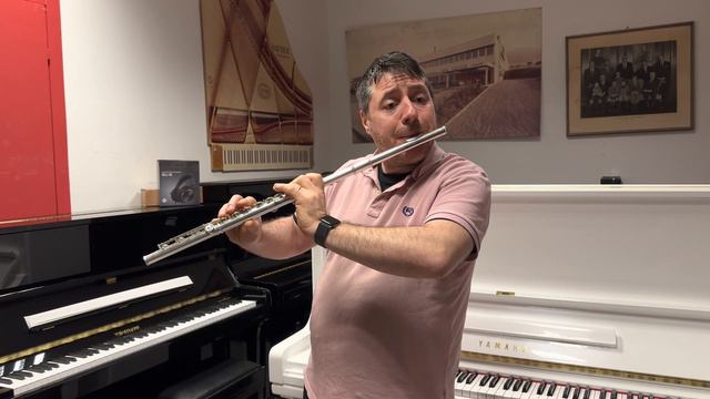 Flauto traverso artigianale professionale Miyazawa tutto in argento BR980 occasione in prova смотреть онлайн