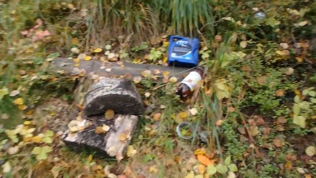 Как мы съездили на рыбалку в Карелию на 3 дня. Осень 2017 смотреть онлайн