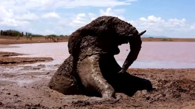 Пастух заметил странную кучу, которая издавала жалобный звук! смотреть онлайн