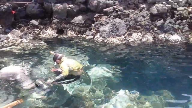 GABAROU AU GOUBET AVEC LE CLIEN DANS L'EAU смотреть онлайн