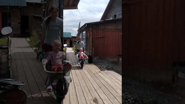 Заготовка дров