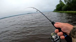 Я В ШОКЕ ОТ ТАКОЙ РЫБАЛКИ, КУДА НЕ КИНЬ ВЕЗДЕ КЛЮЁТ - Щука, Окунь, Жерех на Спиннинг.