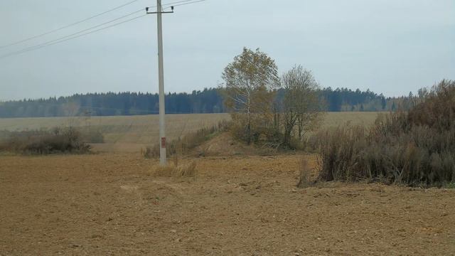 Курганный могильник д. Копысица. Шкловский район. смотреть онлайн