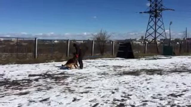 Nemean Lion Olympionike смотреть онлайн
