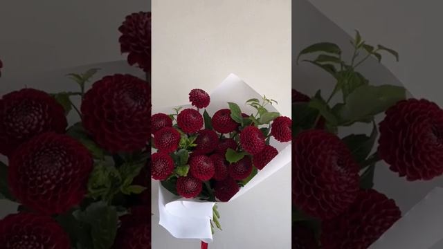 Сезонный букет из Георгин с ветками малины? заказать можно на нашем сайте: www.cvetivradost.ru смотреть онлайн