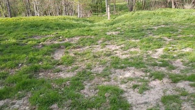 21мая 2022г Смоленская область??