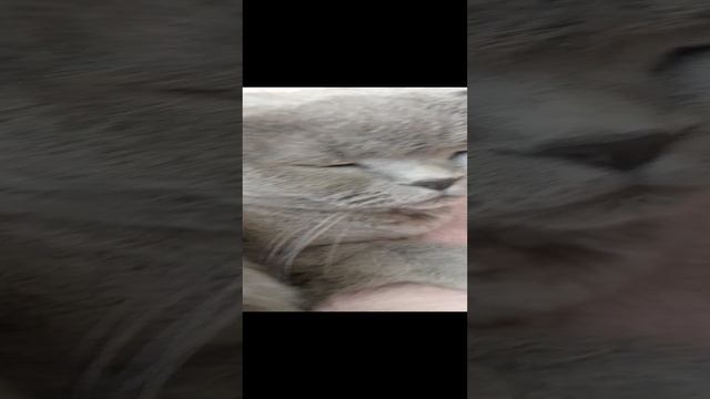 1000028670.mp4 смотреть онлайн