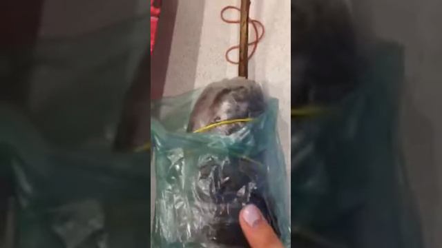 Саженцы от "Агропоиск" смотреть онлайн