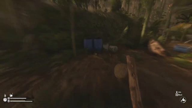 Going Back Home Achievement Guide | Green Hell смотреть онлайн
