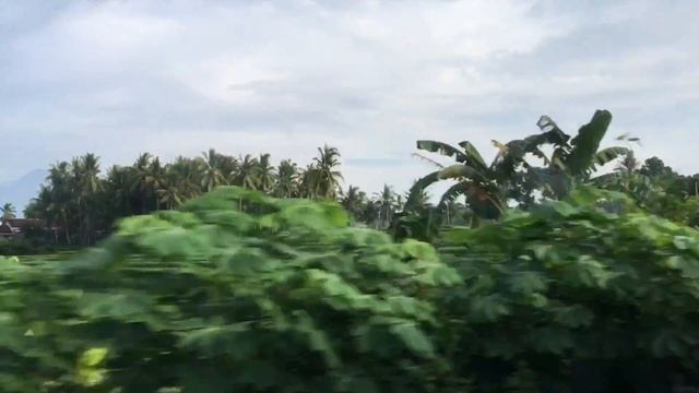 Индонезия. Остров Ява. Баньюванги - Сурабая - Джакарта смотреть онлайн