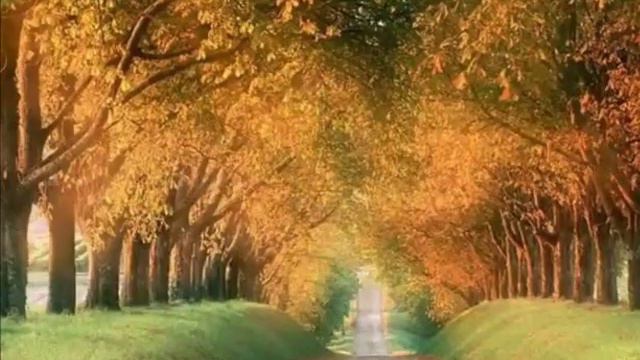 Most  Romantic Beautiful Violin Song By Lindsey Stirling