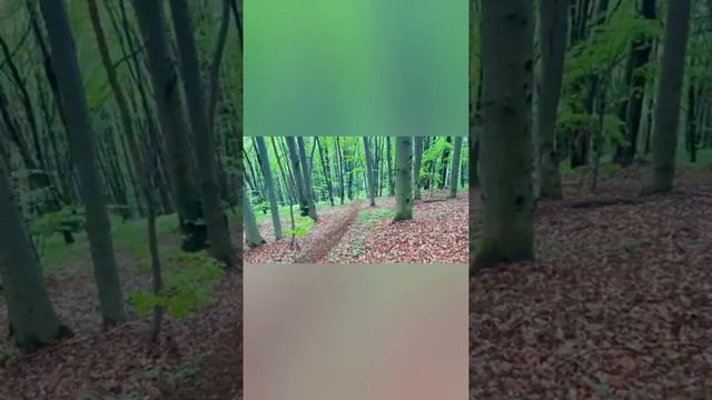 ГОРА ВЕЛИКИЙ ВИЖЕНЬ смотреть онлайн