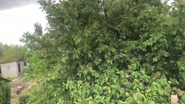 Прогулка не большая по рынку и что как смотреть онлайн
