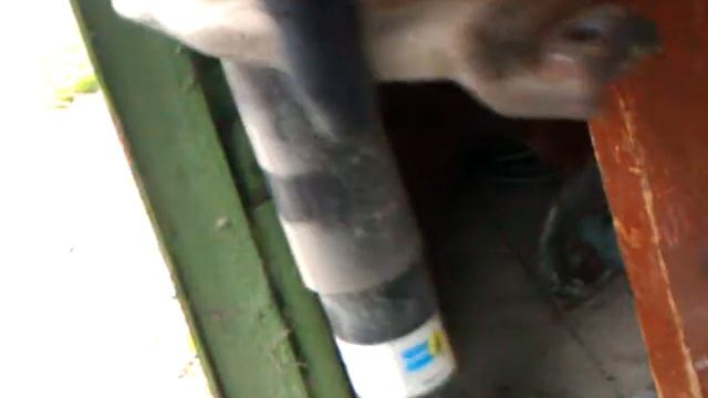 Аммортизатор. Проверка работоспособности на примере Bilstein 19-028514 смотреть онлайн