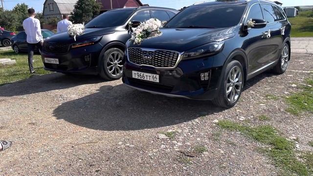 Свадебный кортеж Kia Sorento Prime Саратов смотреть онлайн