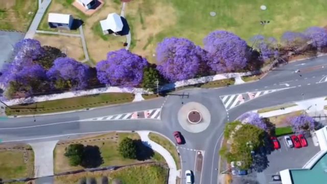 Spring of Australia in December, Amazing Nature of Australia. смотреть онлайн