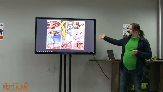 Лекция о морфах маисового полоза Pantherophis guttatus смотреть онлайн