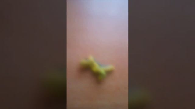 Динозавры , которых я хочу увидеть в Мире юрского периода 4 ( если выйдет) из пластилина . смотреть онлайн