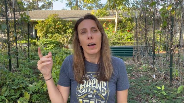 Florida Plants: For Beginners and Beyond! смотреть онлайн