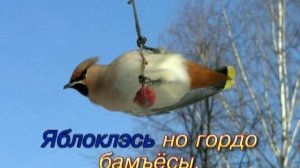 Удмурт караоке ( I ). Лымы тӧдьы