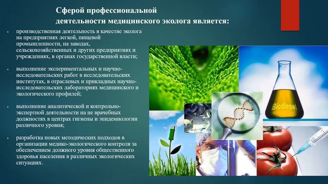 Занятие №7 "Летняя школа" Объединение: "Эко-спасатель". смотреть онлайн