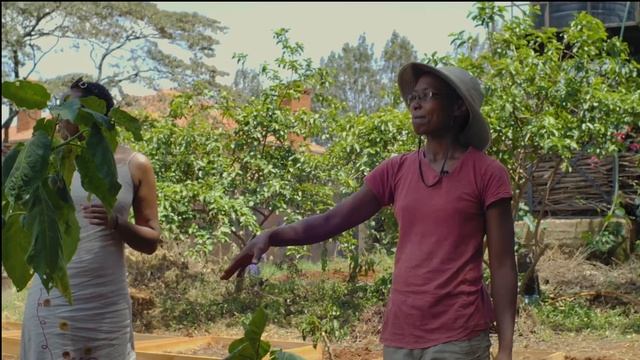 Episode 2 - MICRO-SHAMBA FOOD FOREST (Part 3) смотреть онлайн