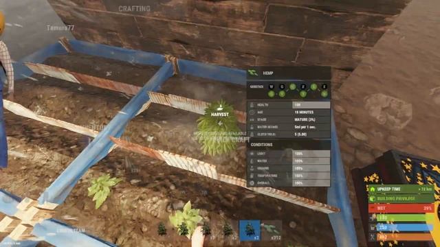 Rust | Ultimate Cross Breeding Guide (new/updated) смотреть онлайн