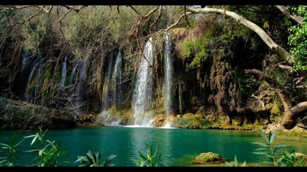 4lienetic-andy-leech-nightfall