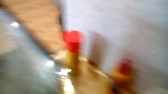 Как ухаживать за тритонами и сомиками смотреть онлайн