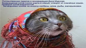 Русская народная песня виновата ли я