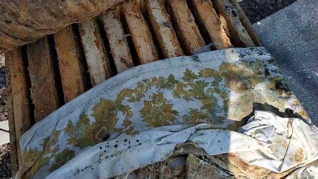 Как расположен клуб пчел в фанерном ящике без утепления. смотреть онлайн