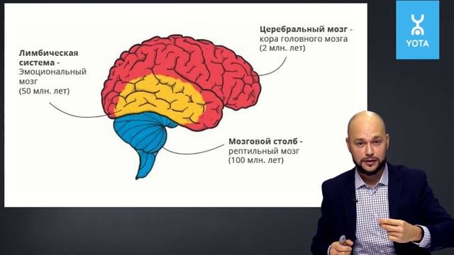 Особенности восприятия мозга | Секреты влияния смотреть онлайн