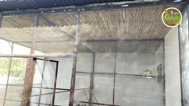 How to make birds new colony || birds colony ideas || bird colony at home || java finch colony смотреть онлайн
