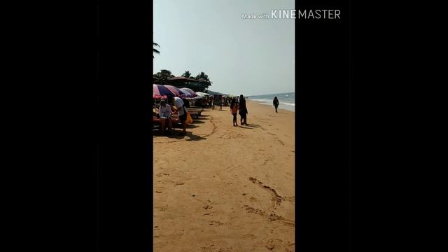 Пляж Анджуна. Гоа. Индия. Beach Anjuna. Goa. India. 19.02.2020 смотреть онлайн