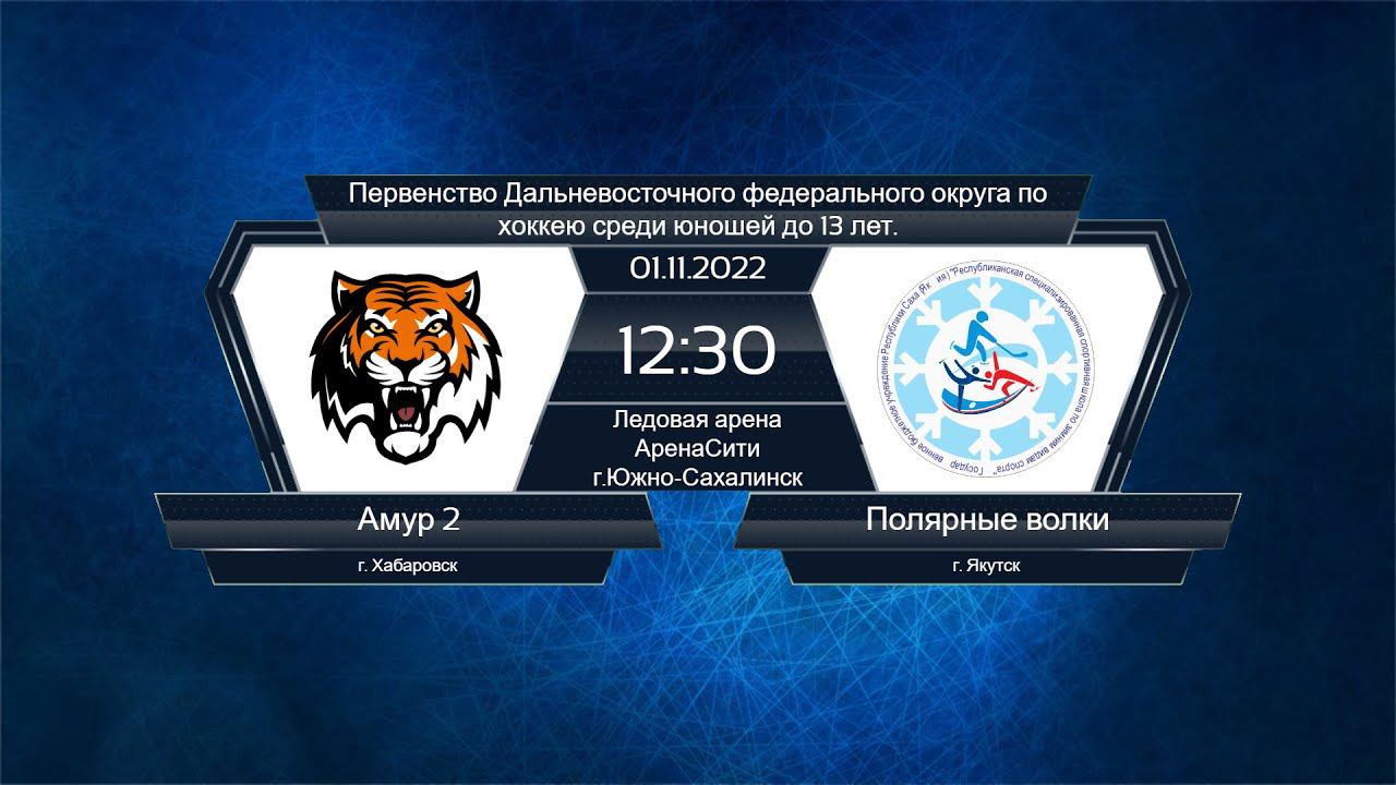 Хоккей, ДФО. "Амур-2" - "Полярные волки". смотреть онлайн