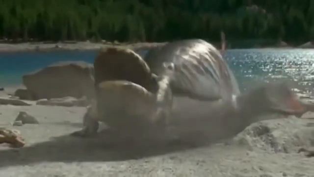 Hynerpeton screaming смотреть онлайн